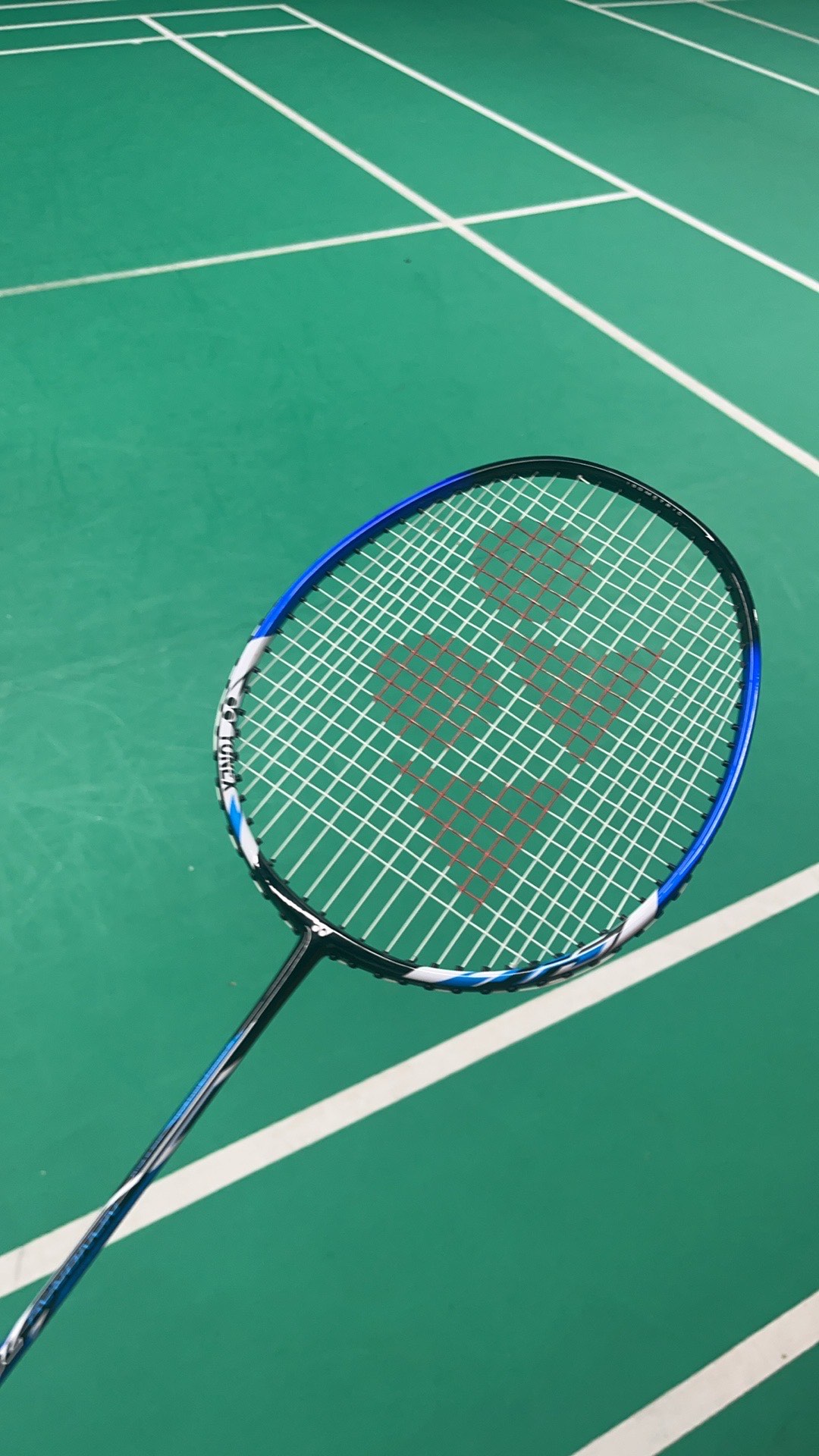 有望被国内 有望被国内