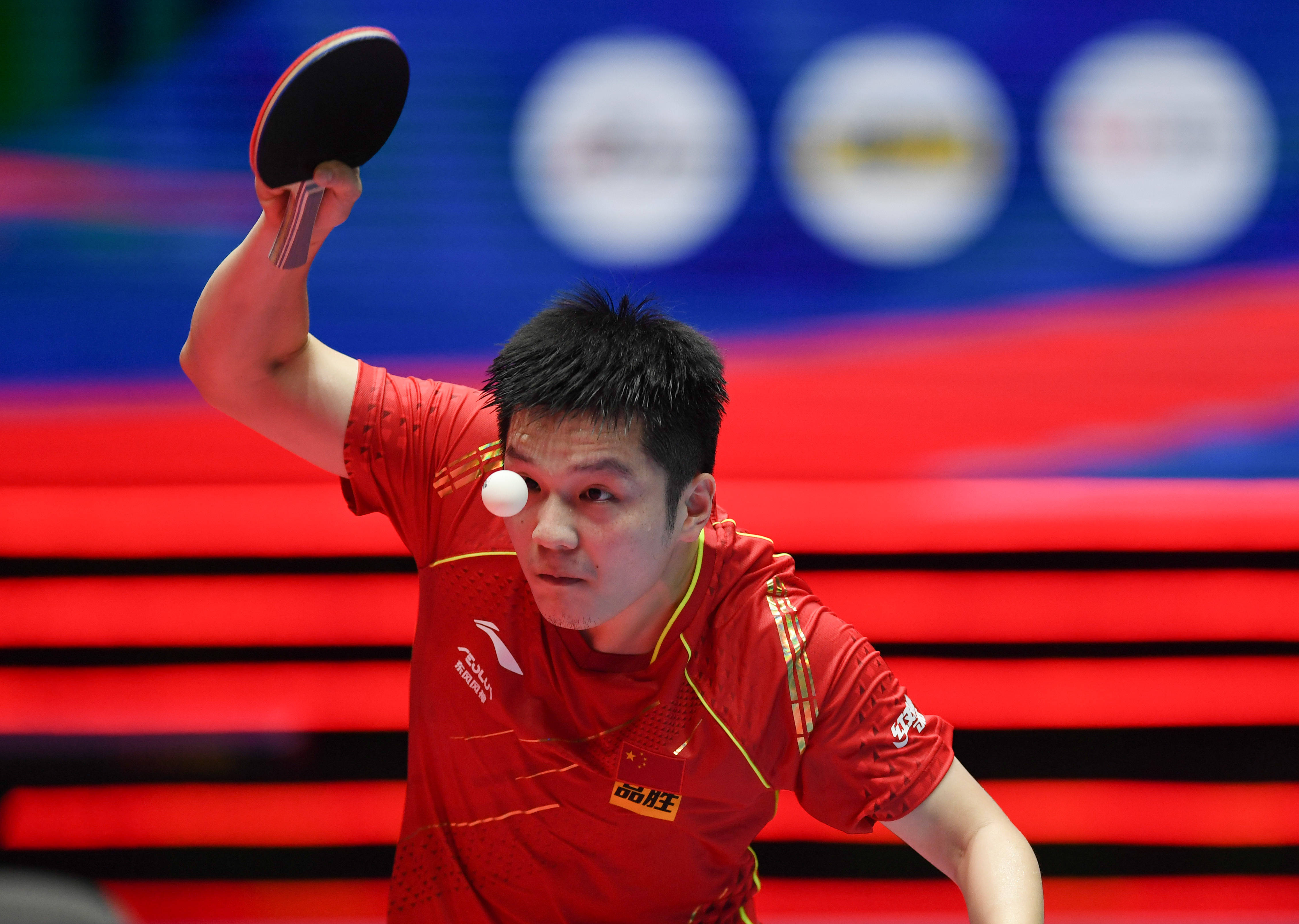 杨的挡拆进 杨的挡拆进